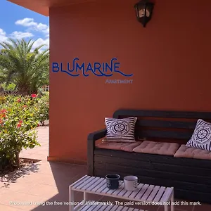 tamarindo-blumarine-pool-wifi-free-4-persons.hotelsfuerteventura.org/